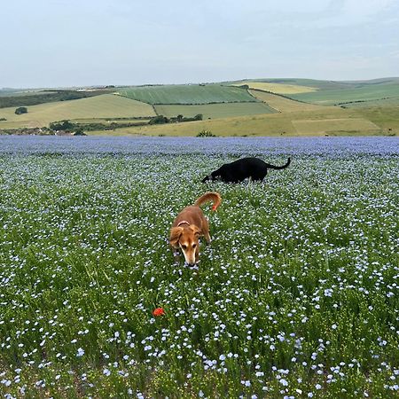 Saltdean Stay Brighton ภายนอก รูปภาพ