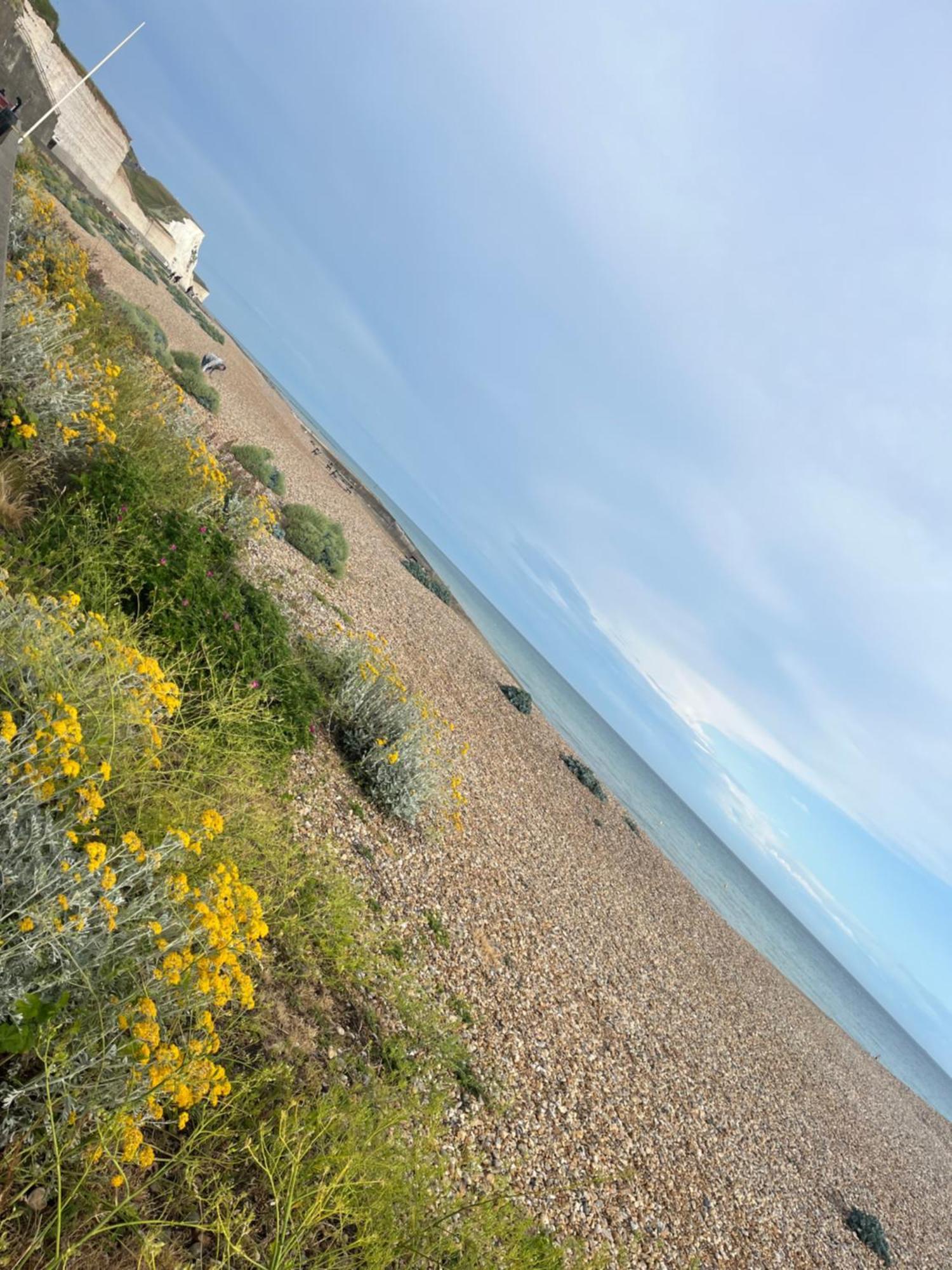 Saltdean Stay Brighton ภายนอก รูปภาพ